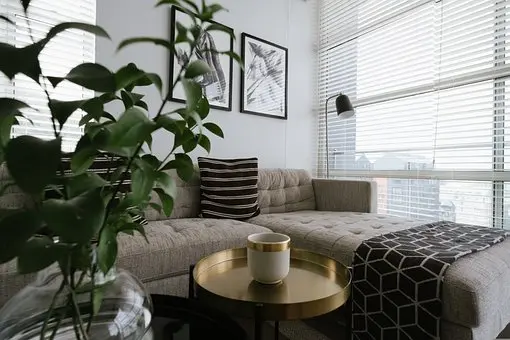 Upholstery-Cleaning--in-Columbus-Ohio-Upholstery-Cleaning-2056200-image