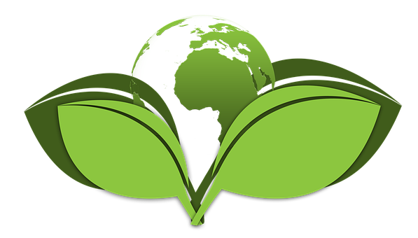Green-Cleaning--in-Chesapeake-Virginia-green-cleaning-chesapeake-virginia.jpg-image